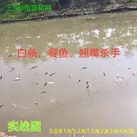 在飛比找蝦皮商城精選優惠-三層魚網新品白條網餐魚網翹嘴網浮網沉網小魚網三層漁網捕魚網批