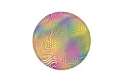 Waboba Wingman Rainbow Web Flying Disc (Multicoloured) (One Size)