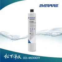 在飛比找蝦皮商城優惠-EVERPURE 全流量強效碳纖維系列濾心 EF6000/E