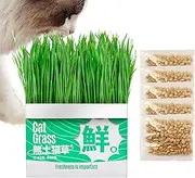 Cat Grass Hydroponic Potting Box, Soilless Sprouting Tray, Hydroponic Growing Container, Easy To Use, Compact Portable Design, White, For Balcony, Windowsill, Indoor, Outdoor Use