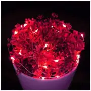 Red 5M Copper Wire 50 LEDs String Fairy Light Xmas Tree Bedroom Decor IP65