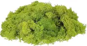 sourcing map Preserved Reindeer Moss, 7oz Fake Moss for Crafts Artificial Dried Moss for Decoration Terrariums Potted Plants, Chartreuse