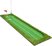 Golf Putting Green, Portable Golf Putting Mat with Auxiliary Aiming Line, Artificial Turf Design Foldable Golf Practice Hitting Mat with 2 Holes, for Home Lawn Park Indoors Outdoor 0.75m*3m