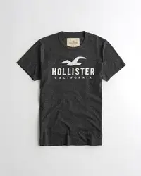 在飛比找Yahoo!奇摩拍賣優惠-Hollister Logo Graphic 刺繡貼布短袖 