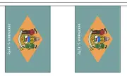 DELAWARE U.S. STATE 3 metre BUNTING 10 FLAGS flag USA AMERICA AMERICAN