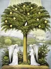 Decoration Poster.Home nterior decor.Room Wall art.The Tree of Life.Angels.11124