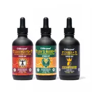 [Lifecykel] This Is It Pack - Lion's Mane, Chaga & Cordyceps, 120ml
