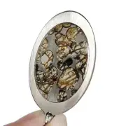 pallasite Meteorite Pendant Olive Meteorite Slice Necklace Jewelry QB104