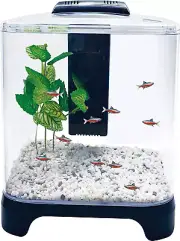 Fish Tank Kit with LED Light and Internal Filter – Black – 1.5 Gallon