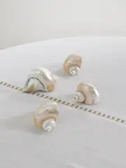 [Gohar World] Gohar World - Set Of Four Mother-of-pearl Napkin Rings - Off-white - One size One size Off-white