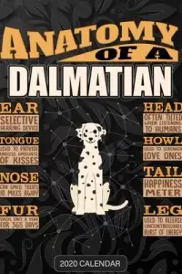 在飛比找博客來優惠-Anatomy Of A Dalmatian: Dalmat