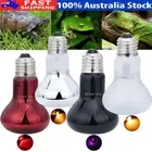 25/50/75/100W UVA Lamp Amphibian Bird Light Heat Reptile Bulb Snake Day Night