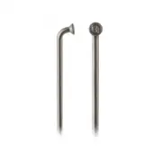 Dt Swiss DT Champion J-Bend 2.0 194mm Silver