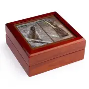 3dRose, GroundHog Humor, Jewelry Box