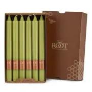 Root Smooth Arista Candles 9", Willow - Box of 12 (8942)