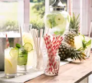 Caterers Choice Straws Paper Bamboo Patterned Jumbo Wrapped 250 Pack x 1