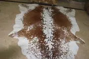 31.3 Ft Original Calf/Cowhide Rug/skin, Cow Hide Processed Quality fur Skin
