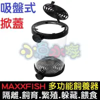 在飛比找蝦皮購物優惠-【小魚水族】【MAXXFISH、多功能飼養器、吸盤式】隔離盒