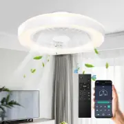 Ceiling Fan with Lights and Remote, 19 Inch Modern Bladeless Low Profile Flus...