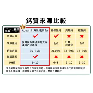 草本之家 天然海藻鈣(100粒/瓶)必盛氏 愛爾蘭 紅藻 礦物質 海洋元素 微量元素 素食 孕婦 好吸收 Ca 鈣 鎂