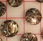 6 Golden Leopard Design Plastic Shank Buttons 1" Well Made, European And Elegant