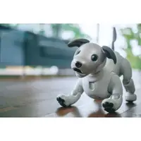 在飛比找蝦皮購物優惠-SONY AIBO Ers-1000 ERS 1000 ai