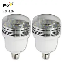 在飛比找PChome24h購物優惠-Piyet-LED攝影燈泡(45w兩顆裝)