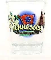 Tennessee Volunteer State Elements Shot Glass Glassware