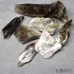 金雲母片原礦(PHLOGOPITE) 巴西~吸引豐盛帶來光明與自信