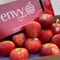 在飛比找momo購物網優惠-【RealShop】美國Envy愛妃蘋果約9kg±10%x1