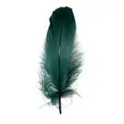 Goose Nagoire Feathers 10 grams - Teal