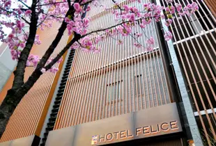 赤阪菲利斯瑞利夫酒店Hotel Felice Akasaka by Relief