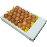 new Egg Fertility Tester Egg Candler for 30 Chicken Eggs SureView