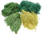 Tofficu 4 Packs Preserved Moss Artificial Moss Dry Moss Ornament Potted Plants Moss Natural Dries Moss Decor Plant Crafts Faux Moss Dry Moss Centerpieces Decor Flagstone Moss Natural Moss