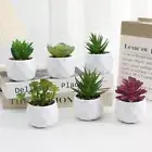 Fake Plants Succulents Bonsai Evergreen Bonsai Plants Small Potted Plants Home