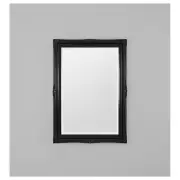 Small Juliette Mirror