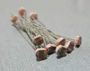 10Pcs Light Dependant Resistor (LDR) GL5516 Photoresistor