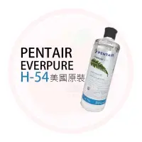 在飛比找蝦皮購物優惠-❤頻頻小舖❤ 含稅ღ 美國 EVERPURE H-54 濾心