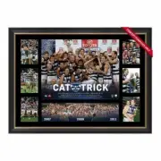 GEELONG CATS 'CAT-TRICK' PREMIERS FRAMED POSTER ABLETT SELWOOD AFL MEMORABILIA