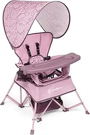Baby Delight Go with Me Venture Portable Chair | Indoor and Outdoor | Sun Canopy | 3 Child Growth Stages | Canyon Rose
