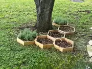 Larval Landings - Modular System for "Leaving the Leaves"