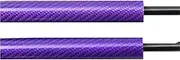 Tailgate Strut for Toyota BB for Scion XB XP30 5-Door Hatchback 2000-2005 Rear Trunk Boot Gas Struts Springs Dampers Tailgate Lift Supports Gas Struts(Purple Carbon Fiber)