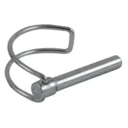 Spit Roast Motor and Skewer Quick Release pin