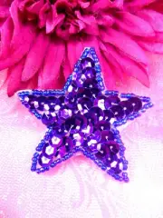 JB73 Purple Star Beaded Sequin Applique Iron on Patch Hot Fix Petite 2.5"