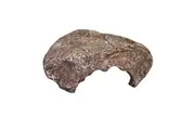 Komodo Wide Entrance Rock Den Small