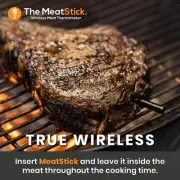 MeatStick Pro Cooking Thermometer- WiFi Set Bridge with Mini X