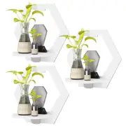 NNETM Hexagonal Harmony: Set of 3 Punch-Free Wall Shelve