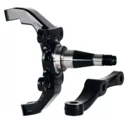 Wilwood WWE Pro Spindle w/ 2in drop W/ Steering Arm For 71-80 Pinto/Must II