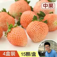 在飛比找台灣好農優惠-學院有機桃薰草莓(中果)(4盒裝)