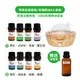 【Karoli卡蘿萊】聚寶盆擴香儀 + 天然有機精油5ml x4 舒壓療癒放鬆/空氣淨化/居家淨化/自我防護/禮物